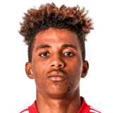 Gedson Fernandes